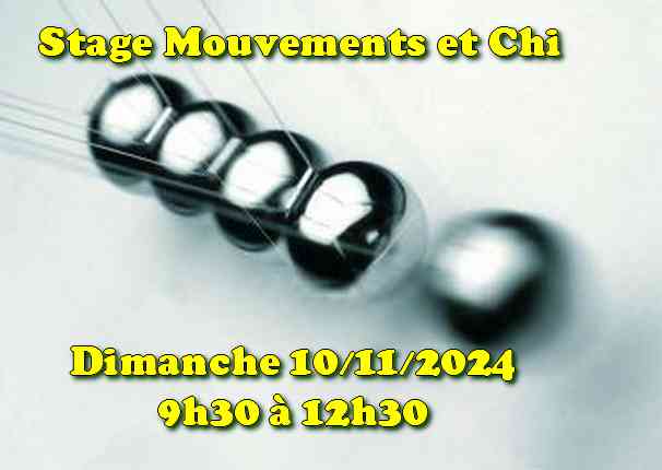 Stage du 10/11/24